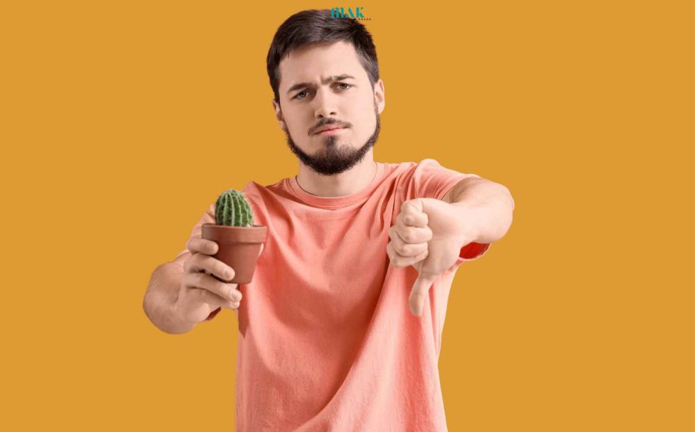 Proktolojik Hastalıkların Tedavisi