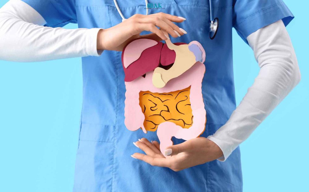 Sindirim Sistemi Hastalıkları